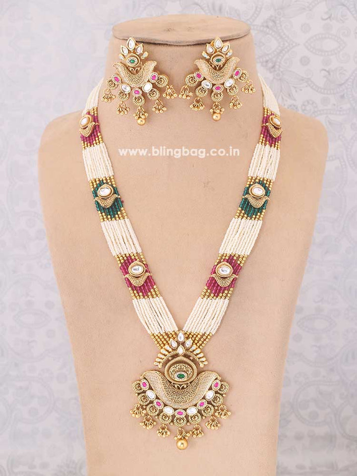 Multicolor Arushi Rajwadi Set