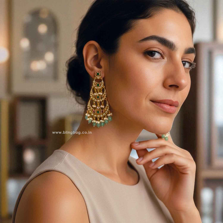 Multicolor Aryahi Danglers