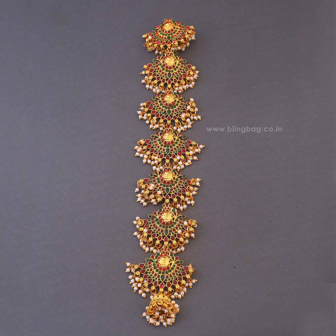 Multicolor Mrittika Hair Chooti