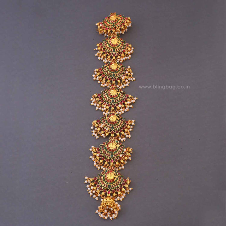 Multicolor Mrittika Hair Chooti