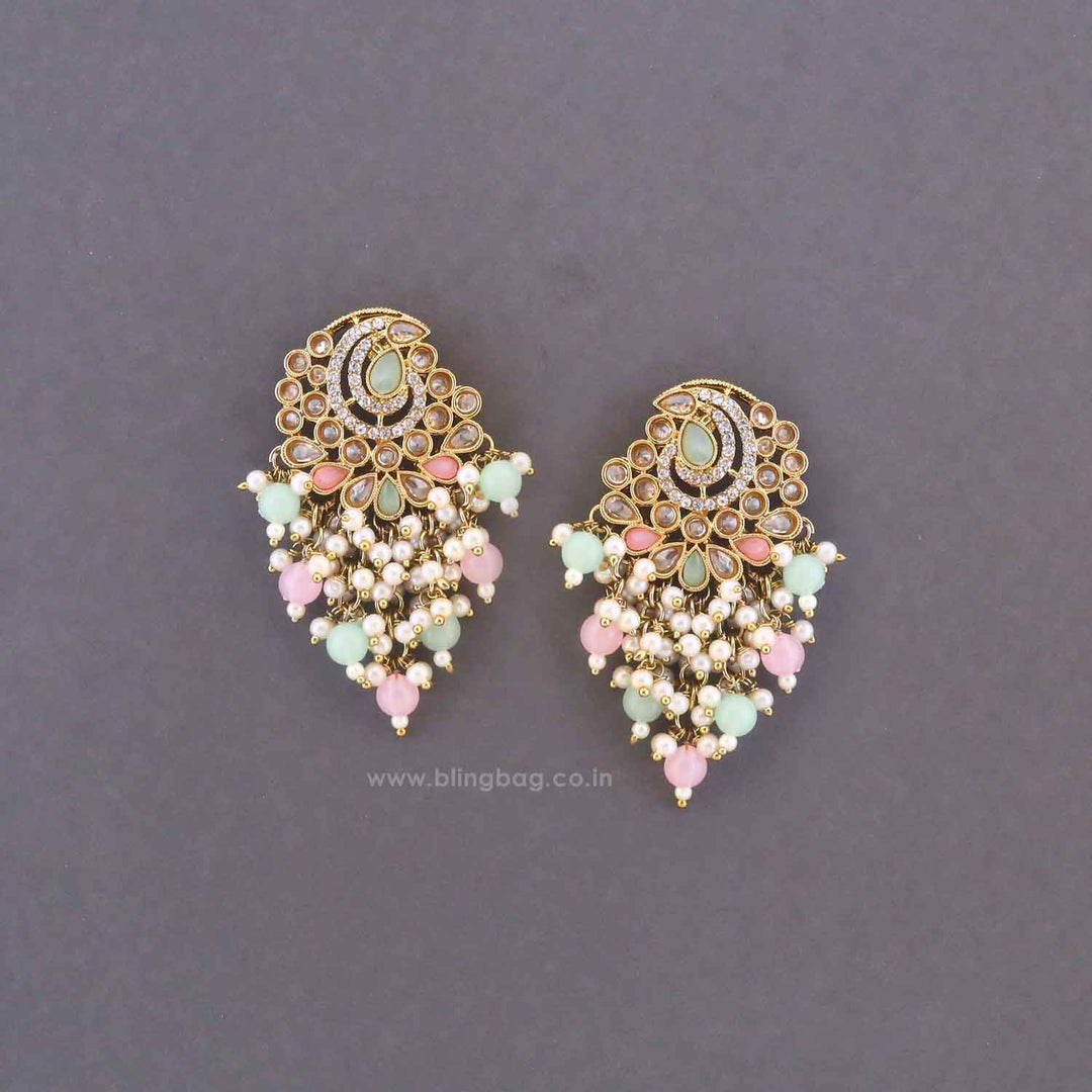 Multicolor Saumya Tassels