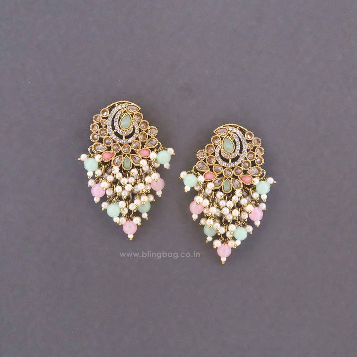 Multicolor Saumya Tassels