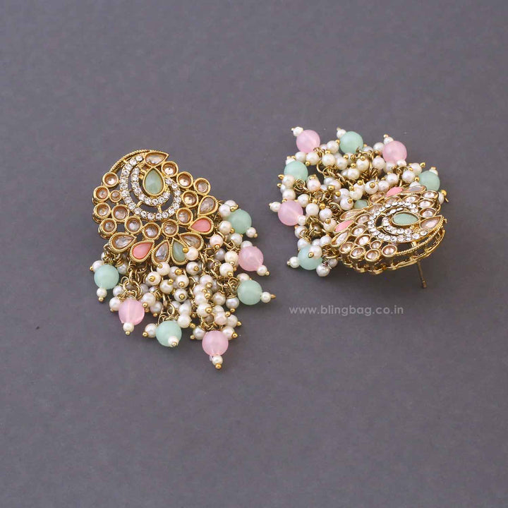 Multicolor Saumya Tassels