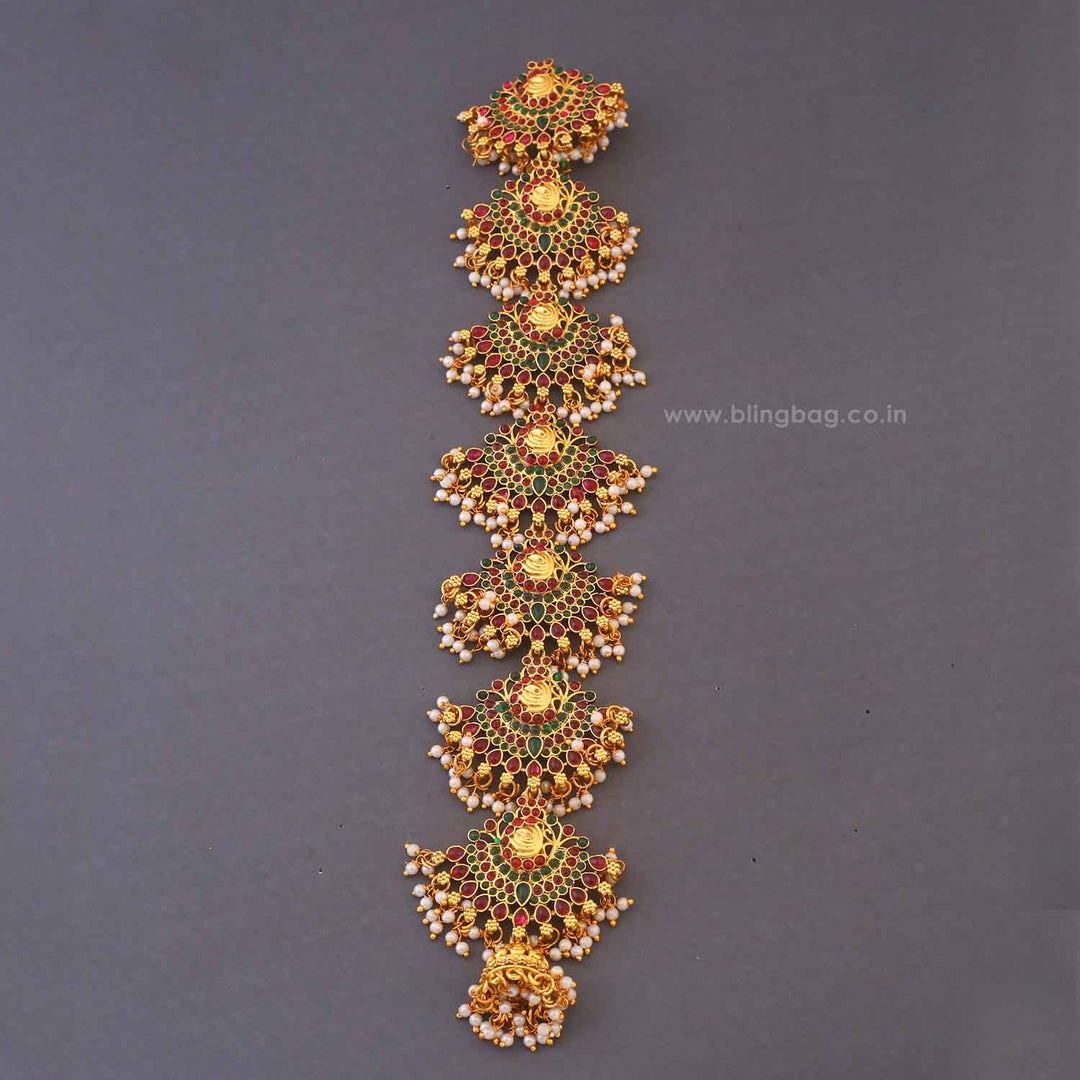 Multicolor Mrittika Hair Chooti
