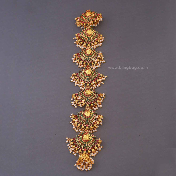 Multicolor Mrittika Hair Chooti