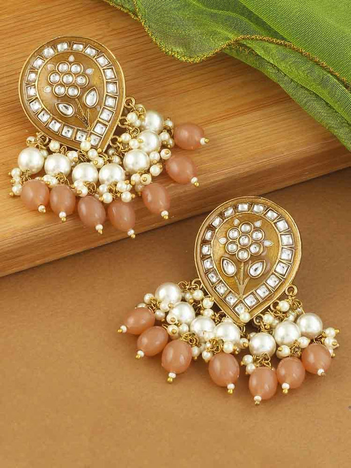 Brown Charmi Designer Earrings - Bling Bag