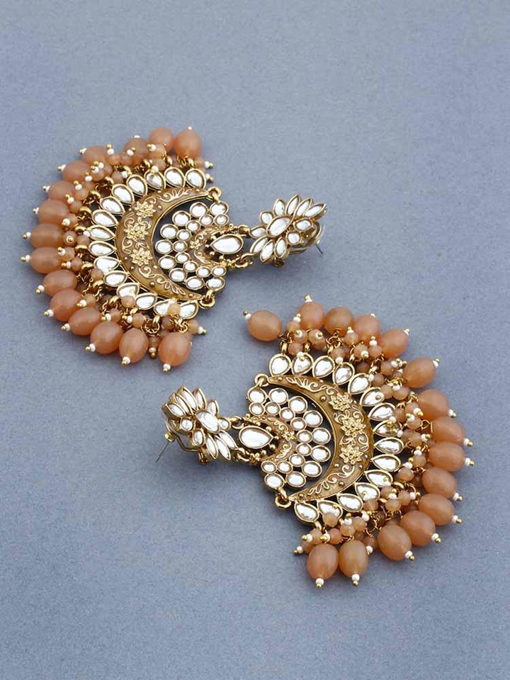 Brown Ajaya Chandbalis - Bling Bag