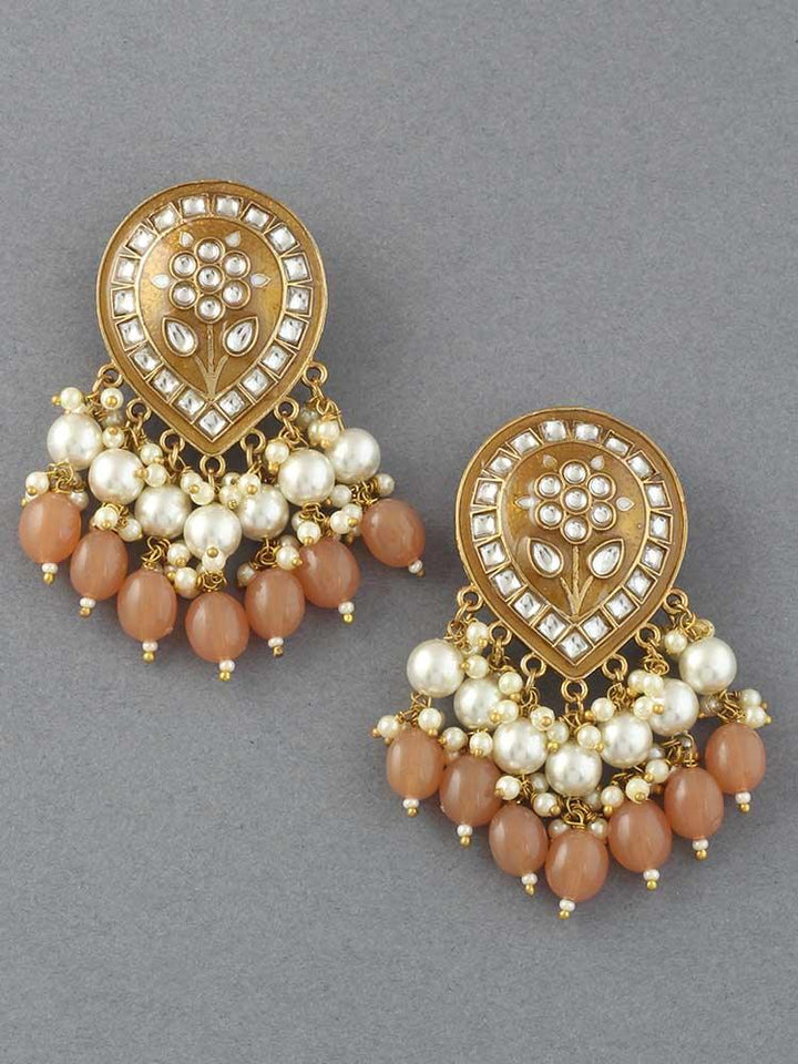 Brown Charmi Designer Earrings - Bling Bag