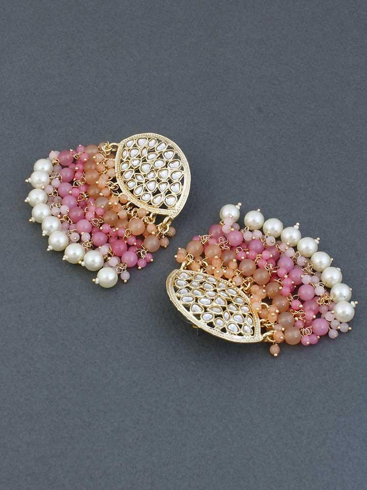 Brown Namniya Satrangi Danglers - Bling Bag