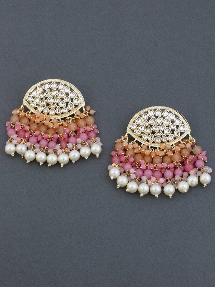 Brown Namniya Satrangi Danglers - Bling Bag