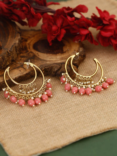 earrings - Bling Bag Coral Warhi Designer Hoops